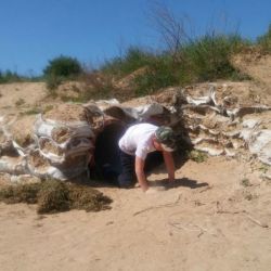 20170519_132337.jpg