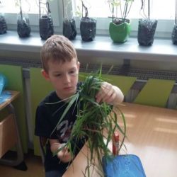 20170526_131057.jpg
