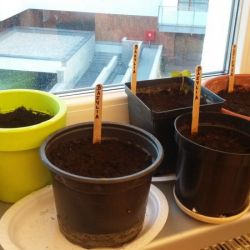 20170303_163949.jpg