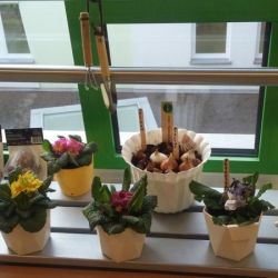 20170303_164129.jpg