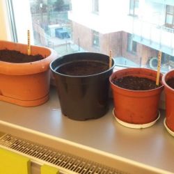 20170303_163938.jpg