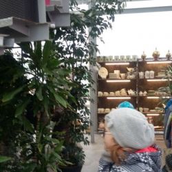 20170302_122803.jpg