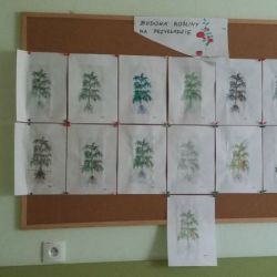 20170428_170029.jpg
