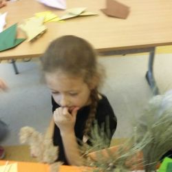 20170515_122206.jpg