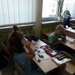 20180910_130503.jpg