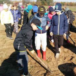20181016_103627.jpg