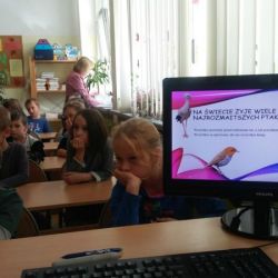 7-jpg.jpg