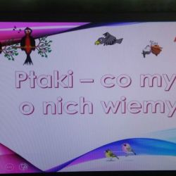 2-jpg.jpg