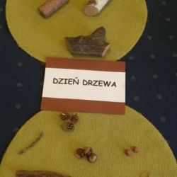 Dzień drzewa