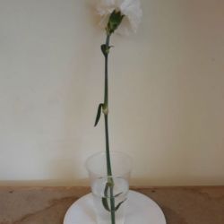 20180919_145325.jpg