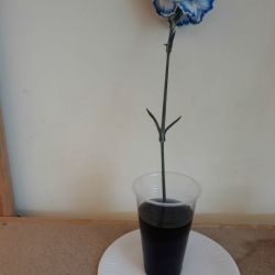 20180919_145338.jpg