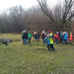 20181211_112651-1.jpg