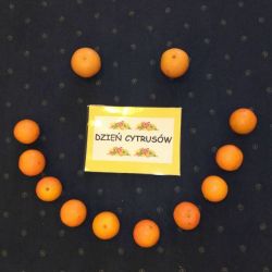 Dzień cytrusów
