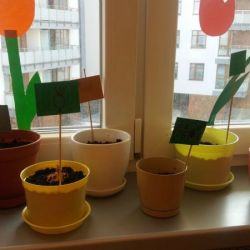 20190404_113528.jpg