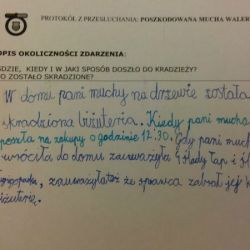 20190529_092211.jpg
