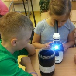 Warsztaty detektywistyczne