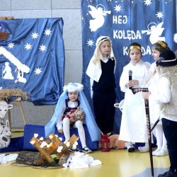 _DSC7980.jpg