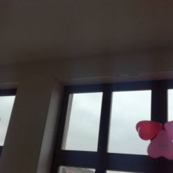 thumbnail_IMG_20200206_112231.jpg