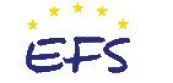 logotyp EFS
