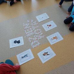 151206215_471796180657491_5140718249511643819_n.jpg