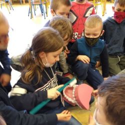 IMG_20210317_133217.jpg