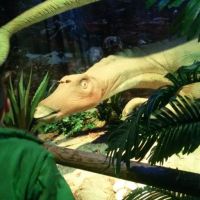 20160114_131617.jpg