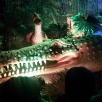 Wycieczka - wystawa Dinozaurów