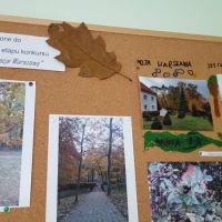 20151104_145035.jpg