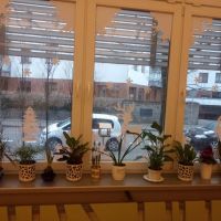 IMG_20220126_091742.jpg