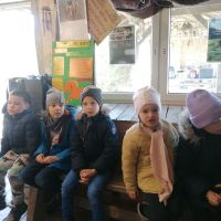IMG_20220324_112128.jpg