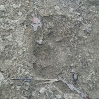 20160216_101539.jpg