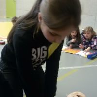 20160229_151223.jpg