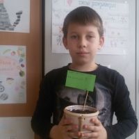 9-jpg.jpg