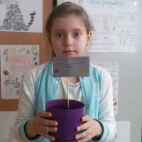 6-jpg.jpg