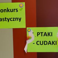 Konkurs - Ptaki -Cudaki