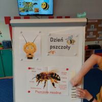 Światowy Dzień Pszczoły