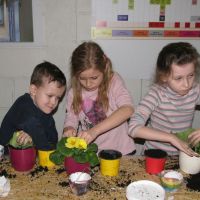 IMG_4453.jpg