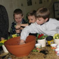 IMG_4458.jpg