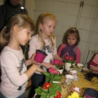IMG_4456.jpg