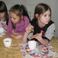 IMG_4432.jpg