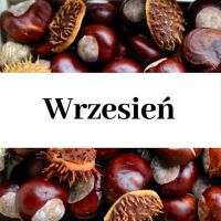 Zajęcia cykliczne - wrzesień