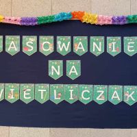 Pasowanie na Świetliczaka