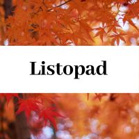 Zajęcia cykliczne - listopad