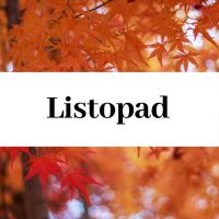Zajęcia cykliczne - listopad
