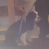 20160505_090534.jpg