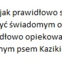 0-jpg.jpg