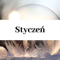 Zajęcia cykliczne - styczeń