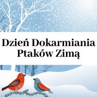 Dokarmianie ptaków.jpg