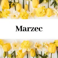 Zajęcia cykliczne - marzec