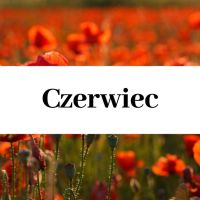 Zajęcia cykliczne - czerwiec